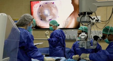 Напечатанная роговица помогла вернуть зрение