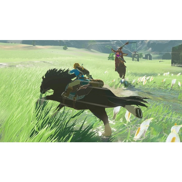 Игра от Nintendo  The Legend of Zelda: Breath of the Wild Nintendo Switch