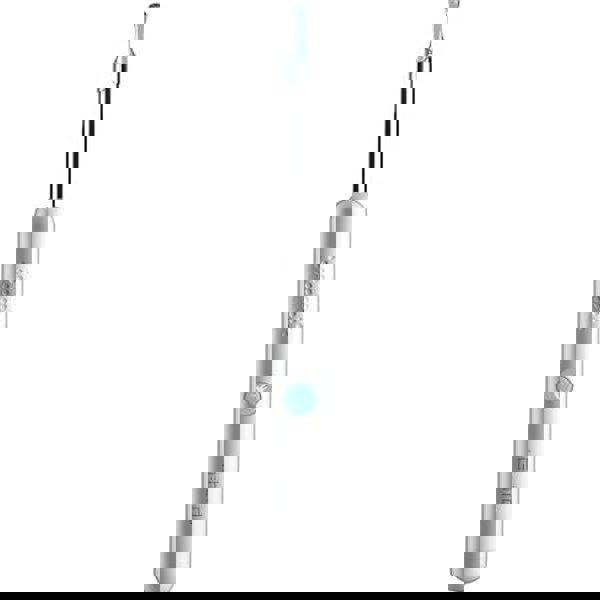 Умная ушная палочка (эндоскоп) Bebird Smart Visual Spoon Ear Stick R1 (с камерой) Белый